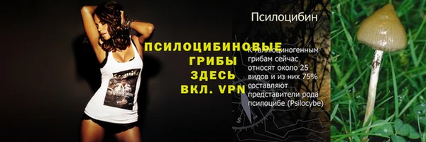 меф Гусиноозёрск